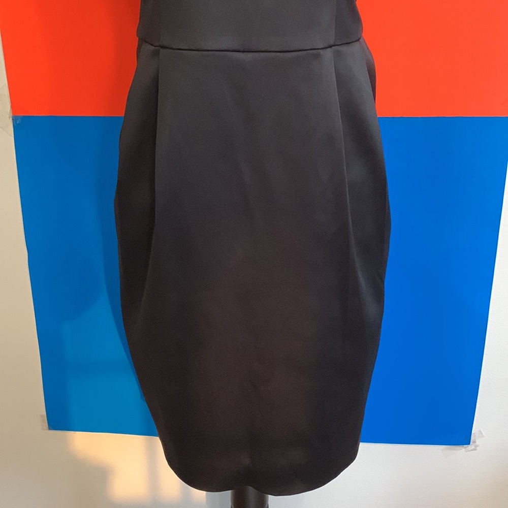 COPY - EXPRESS NEW Satin Dress - Picture 3 of 12